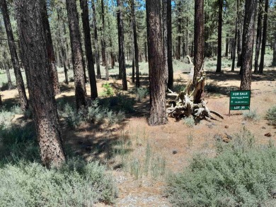 CREEK SIDE HAVEN.ONE OF NAKOMA'S BEST  LOTS.  FLAT EASY BUILD on Nakoma Golf Resort in California - for sale on GolfHomes.com, golf home, golf lot