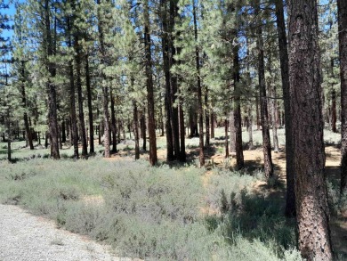 CREEK SIDE HAVEN.ONE OF NAKOMA'S BEST  LOTS.  FLAT EASY BUILD on Nakoma Golf Resort in California - for sale on GolfHomes.com, golf home, golf lot