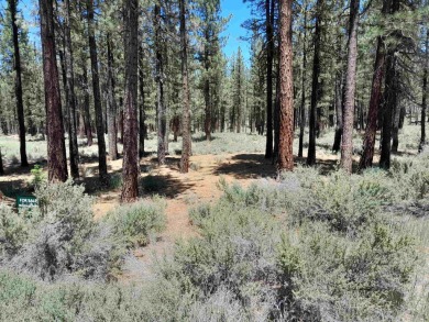 CREEK SIDE HAVEN.ONE OF NAKOMA'S BEST  LOTS.  FLAT EASY BUILD on Nakoma Golf Resort in California - for sale on GolfHomes.com, golf home, golf lot