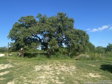 Add this Property 10 Acres located on Hwy 281 with 286 feet of on Mission Del Lago Municipal Golf Course in Texas - for sale on GolfHomes.com, golf home, golf lot