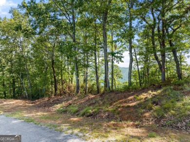Discovering the Dream: Estate-Sized Lot in Habersham County on The Orchard Golf and Country Club in Georgia - for sale on GolfHomes.com, golf home, golf lot