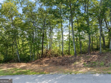 Discovering the Dream: Estate-Sized Lot in Habersham County on The Orchard Golf and Country Club in Georgia - for sale on GolfHomes.com, golf home, golf lot
