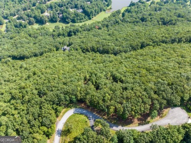Discovering the Dream: Estate-Sized Lot in Habersham County on The Orchard Golf and Country Club in Georgia - for sale on GolfHomes.com, golf home, golf lot