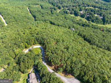 Discovering the Dream: Estate-Sized Lot in Habersham County on The Orchard Golf and Country Club in Georgia - for sale on GolfHomes.com, golf home, golf lot
