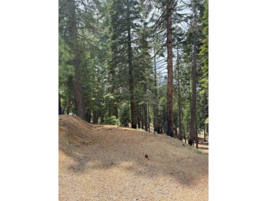 Beautiful secluded lot...well maintained throughout the years on Lake Almanor West Golf Course in California - for sale on GolfHomes.com, golf home, golf lot