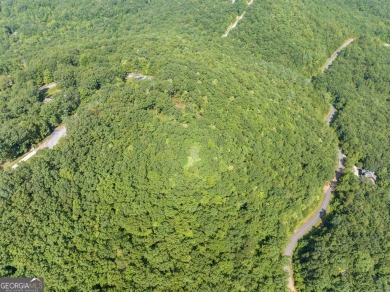Discovering the Dream: Estate-Sized Lot in Habersham County on The Orchard Golf and Country Club in Georgia - for sale on GolfHomes.com, golf home, golf lot