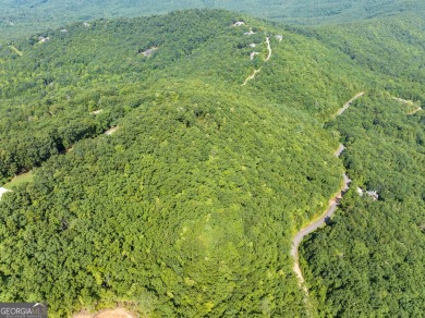 Discovering the Dream: Estate-Sized Lot in Habersham County on The Orchard Golf and Country Club in Georgia - for sale on GolfHomes.com, golf home, golf lot