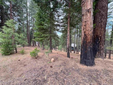 Beautiful secluded lot...well maintained throughout the years on Lake Almanor West Golf Course in California - for sale on GolfHomes.com, golf home, golf lot
