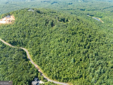 Discovering the Dream: Estate-Sized Lot in Habersham County on The Orchard Golf and Country Club in Georgia - for sale on GolfHomes.com, golf home, golf lot
