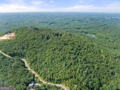 Discovering the Dream: Estate-Sized Lot in Habersham County on The Orchard Golf and Country Club in Georgia - for sale on GolfHomes.com, golf home, golf lot