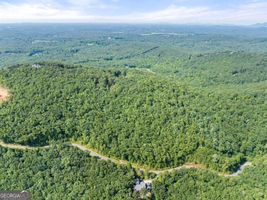 Discovering the Dream: Estate-Sized Lot in Habersham County on The Orchard Golf and Country Club in Georgia - for sale on GolfHomes.com, golf home, golf lot