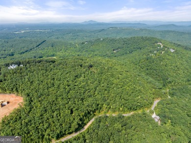 Discovering the Dream: Estate-Sized Lot in Habersham County on The Orchard Golf and Country Club in Georgia - for sale on GolfHomes.com, golf home, golf lot