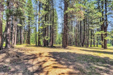 This very unique extra large lot in Plumas Pines offers a 270 on Plumas Pines Golf Resort in California - for sale on GolfHomes.com, golf home, golf lot