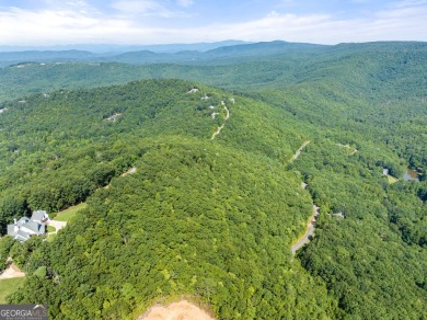 Discovering the Dream: Estate-Sized Lot in Habersham County on The Orchard Golf and Country Club in Georgia - for sale on GolfHomes.com, golf home, golf lot