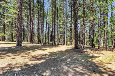 This very unique extra large lot in Plumas Pines offers a 270 on Plumas Pines Golf Resort in California - for sale on GolfHomes.com, golf home, golf lot