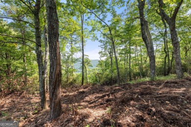 Discovering the Dream: Estate-Sized Lot in Habersham County on The Orchard Golf and Country Club in Georgia - for sale on GolfHomes.com, golf home, golf lot