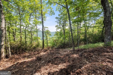 Discovering the Dream: Estate-Sized Lot in Habersham County on The Orchard Golf and Country Club in Georgia - for sale on GolfHomes.com, golf home, golf lot