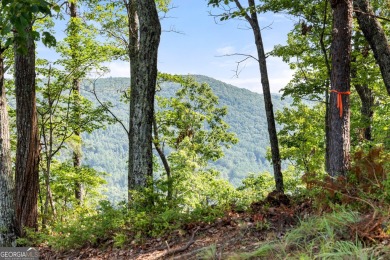 Discovering the Dream: Estate-Sized Lot in Habersham County on The Orchard Golf and Country Club in Georgia - for sale on GolfHomes.com, golf home, golf lot