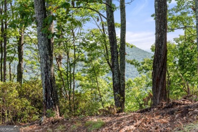 Discovering the Dream: Estate-Sized Lot in Habersham County on The Orchard Golf and Country Club in Georgia - for sale on GolfHomes.com, golf home, golf lot