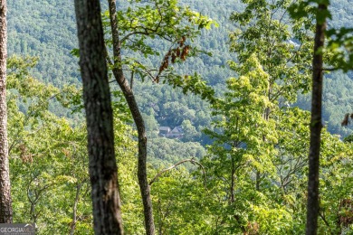 Discovering the Dream: Estate-Sized Lot in Habersham County on The Orchard Golf and Country Club in Georgia - for sale on GolfHomes.com, golf home, golf lot