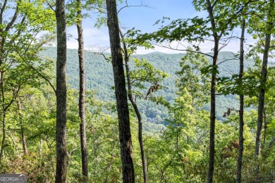 Discovering the Dream: Estate-Sized Lot in Habersham County on The Orchard Golf and Country Club in Georgia - for sale on GolfHomes.com, golf home, golf lot