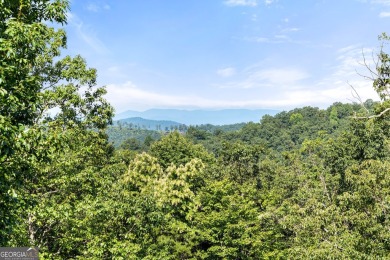 Discovering the Dream: Estate-Sized Lot in Habersham County on The Orchard Golf and Country Club in Georgia - for sale on GolfHomes.com, golf home, golf lot