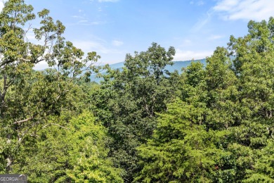 Discovering the Dream: Estate-Sized Lot in Habersham County on The Orchard Golf and Country Club in Georgia - for sale on GolfHomes.com, golf home, golf lot
