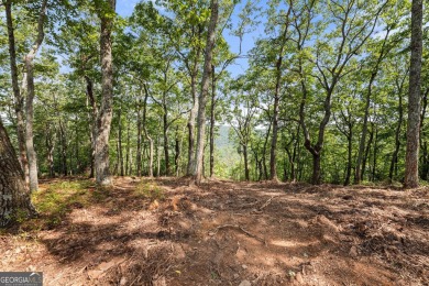 Discovering the Dream: Estate-Sized Lot in Habersham County on The Orchard Golf and Country Club in Georgia - for sale on GolfHomes.com, golf home, golf lot
