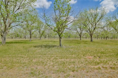 Nestled by the serene orchard of Pecan Plantation, this on Pecan Plantation Country Club in Texas - for sale on GolfHomes.com, golf home, golf lot