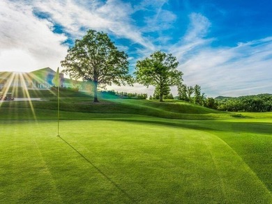 Spectacular custom-built modern farmhouse style 4-bedroom, 3.5 on Payne Stewart Golf Club of Branson Hills - Front in Missouri - for sale on GolfHomes.com, golf home, golf lot