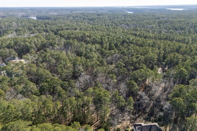 Build your dream home on this beautiful 0.29-acre gently sloping on Monticello Golf Club At Savannah Lakes in South Carolina - for sale on GolfHomes.com, golf home, golf lot