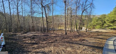 Discover your future home site at 42 Lookout Point, a spacious on Currahee Golf Club in Georgia - for sale on GolfHomes.com, golf home, golf lot