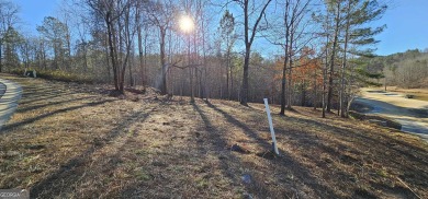 Discover your future home site at 42 Lookout Point, a spacious on Currahee Golf Club in Georgia - for sale on GolfHomes.com, golf home, golf lot