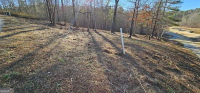 Discover your future home site at 42 Lookout Point, a spacious on Currahee Golf Club in Georgia - for sale on GolfHomes.com, golf home, golf lot