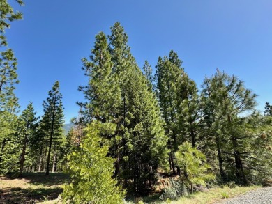 STOP!  BACK UP!.... TAKE ANOTHER LOOK!  Discover the perfect on Nakoma Golf Resort in California - for sale on GolfHomes.com, golf home, golf lot