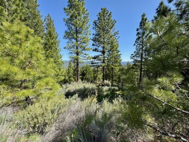 STOP!  BACK UP!.... TAKE ANOTHER LOOK!  Discover the perfect on Nakoma Golf Resort in California - for sale on GolfHomes.com, golf home, golf lot