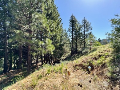 STOP!  BACK UP!.... TAKE ANOTHER LOOK!  Discover the perfect on Nakoma Golf Resort in California - for sale on GolfHomes.com, golf home, golf lot