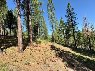 STOP!  BACK UP!.... TAKE ANOTHER LOOK!  Discover the perfect on Nakoma Golf Resort in California - for sale on GolfHomes.com, golf home, golf lot