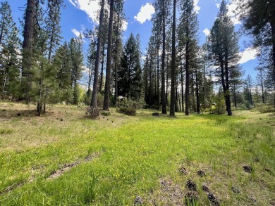 EUREKA, YOU'VE FOUND IT!  Check out this awesome 0.47-acre lot on Plumas Pines Golf Resort in California - for sale on GolfHomes.com, golf home, golf lot