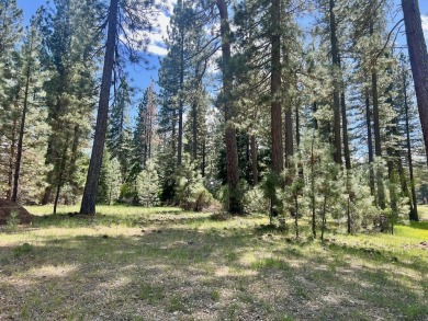 EUREKA, YOU'VE FOUND IT!  Check out this awesome 0.47-acre lot on Plumas Pines Golf Resort in California - for sale on GolfHomes.com, golf home, golf lot