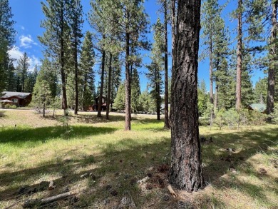 EUREKA, YOU'VE FOUND IT!  Check out this awesome 0.47-acre lot on Plumas Pines Golf Resort in California - for sale on GolfHomes.com, golf home, golf lot