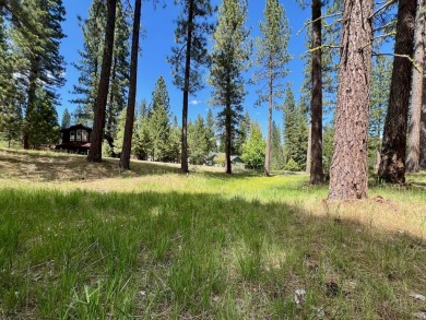 EUREKA, YOU'VE FOUND IT!  Check out this awesome 0.47-acre lot on Plumas Pines Golf Resort in California - for sale on GolfHomes.com, golf home, golf lot