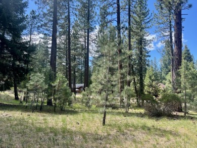 EUREKA, YOU'VE FOUND IT!  Check out this awesome 0.47-acre lot on Plumas Pines Golf Resort in California - for sale on GolfHomes.com, golf home, golf lot