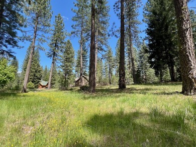 EUREKA, YOU'VE FOUND IT!  Check out this awesome 0.47-acre lot on Plumas Pines Golf Resort in California - for sale on GolfHomes.com, golf home, golf lot