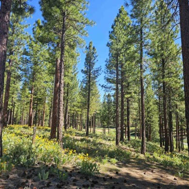 Exceptional fairway frontage lot in Grizzly Ranch. End of Cul de on Grizzly Ranch Golf Club in California - for sale on GolfHomes.com, golf home, golf lot