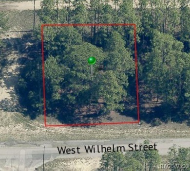 Buildable Lot in Citrus Springs presenting an excellent on Pine Ridge Community Golf and Country Club in Florida - for sale on GolfHomes.com, golf home, golf lot