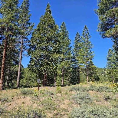 PERMIT READY! Fabulous private setting perched on a gentle on Grizzly Ranch Golf Club in California - for sale on GolfHomes.com, golf home, golf lot