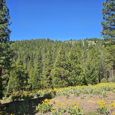 PERMIT READY! Fabulous private setting perched on a gentle on Grizzly Ranch Golf Club in California - for sale on GolfHomes.com, golf home, golf lot