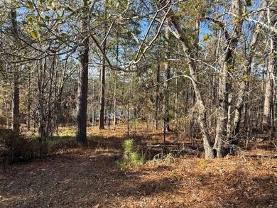 Beautiful 0.50-acre lakefront lot on big water in the Southwind on Monticello Golf Club At Savannah Lakes in South Carolina - for sale on GolfHomes.com, golf home, golf lot