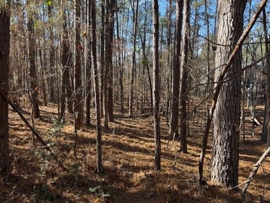 Beautiful 0.50-acre lakefront lot on big water in the Southwind on Monticello Golf Club At Savannah Lakes in South Carolina - for sale on GolfHomes.com, golf home, golf lot